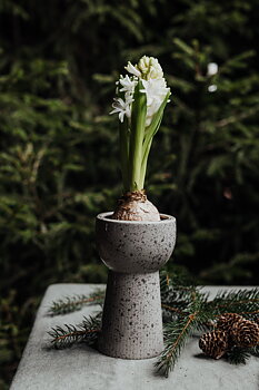 HYACINTVAS HÖG - NATUR/PRICKIG