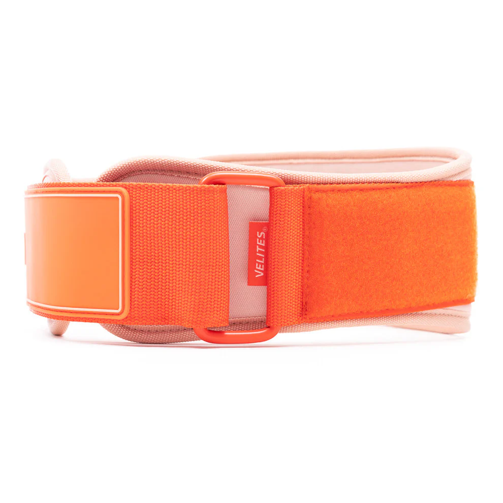 Velites - Lifting belt Orange - 3