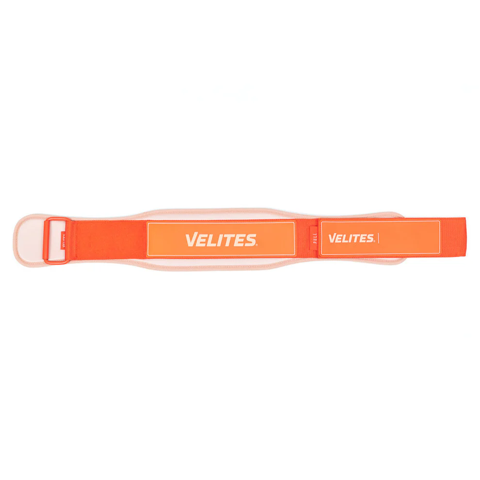 Velites - Lifting belt Orange - 5