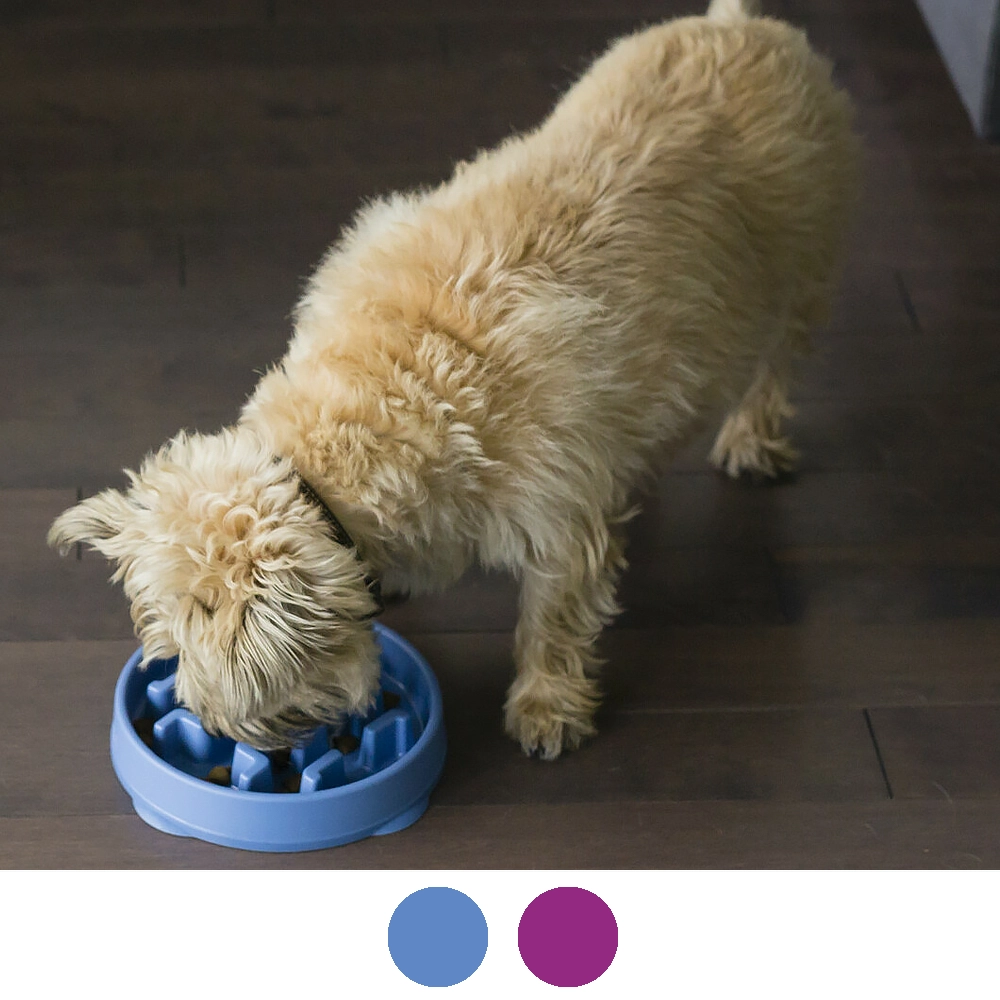Outward hound Fun feeder slo bowl 