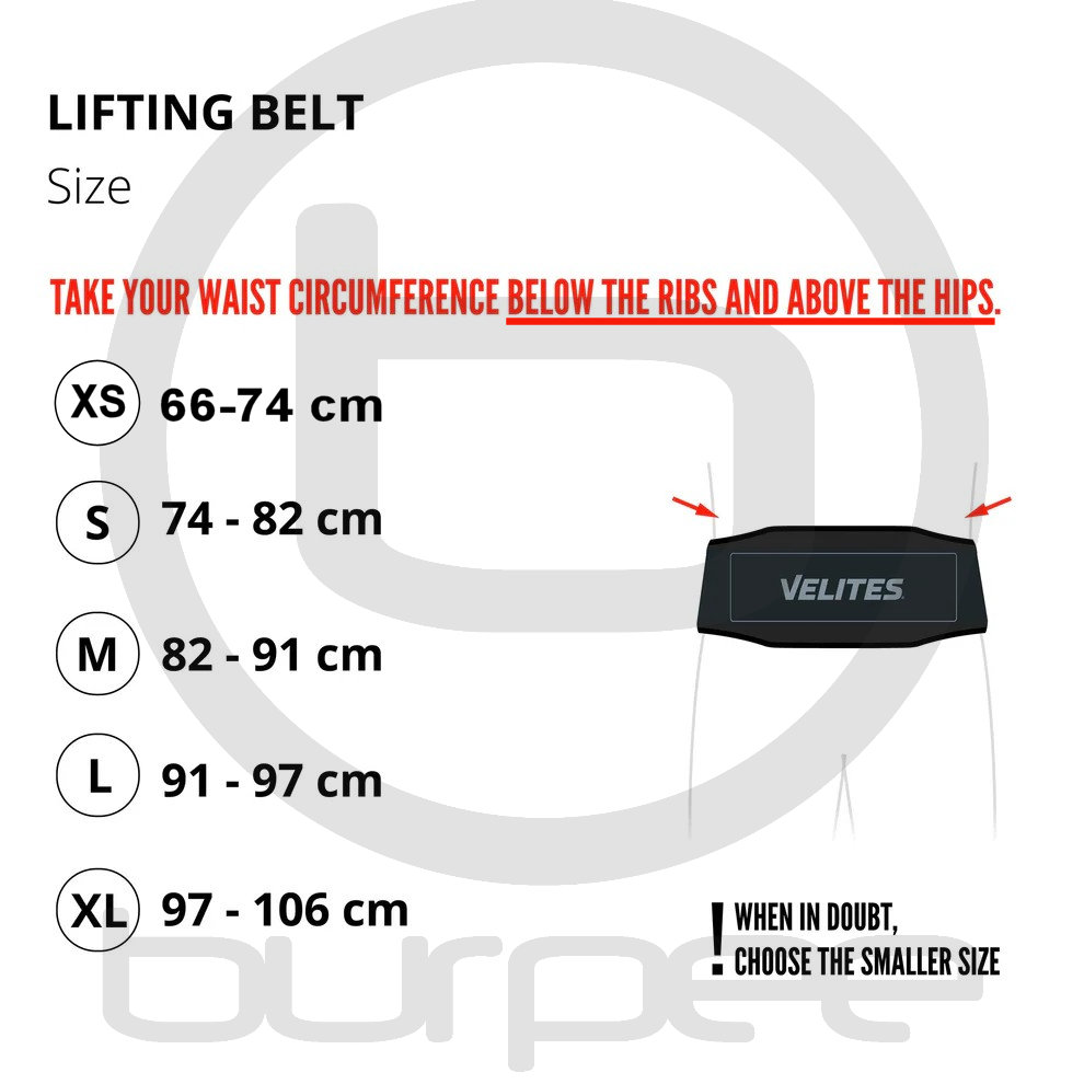 Velites - Lifting belt Pink - 2