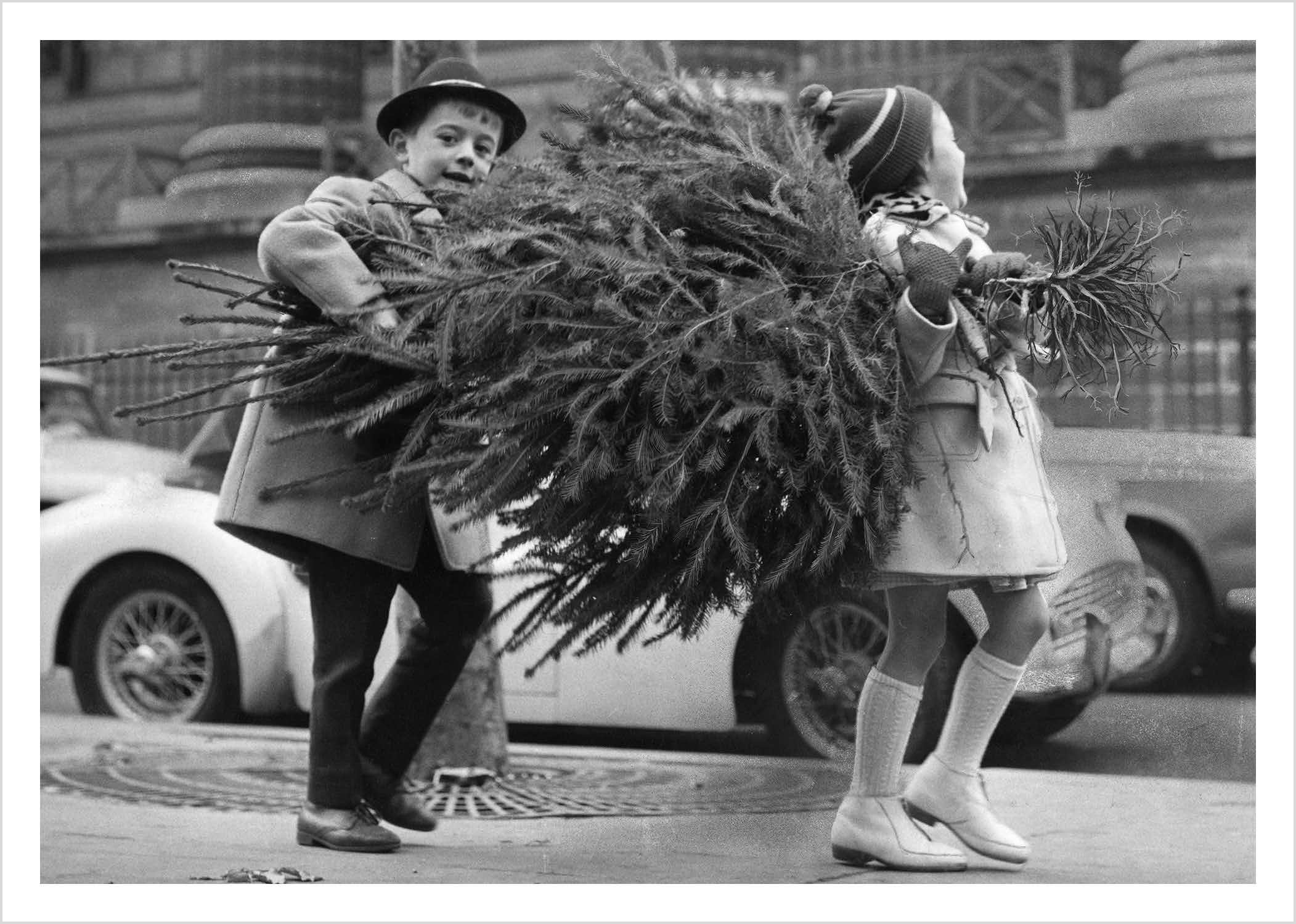 Heading home with the tree, Greeting Card