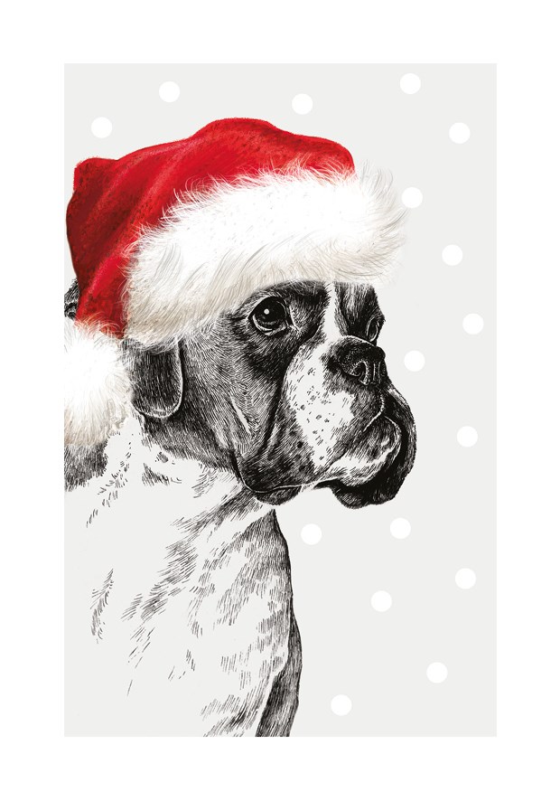 Dubbelvikt kort - Xmas Boxer