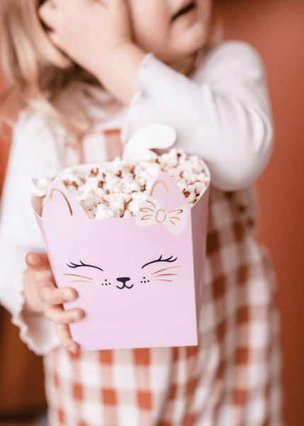 Popcornboxar Katt Mix  - 2