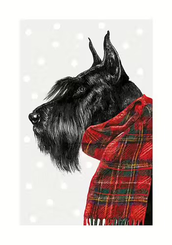 Dubbelvikt kort - Xmas Schnauzer