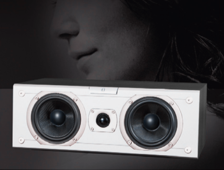 Audiovector KiC Signature 'Black Ash'