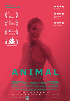 Animal