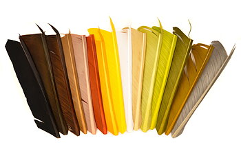 Turkey Biot Quills