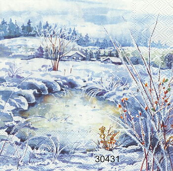 Vinterlandskap