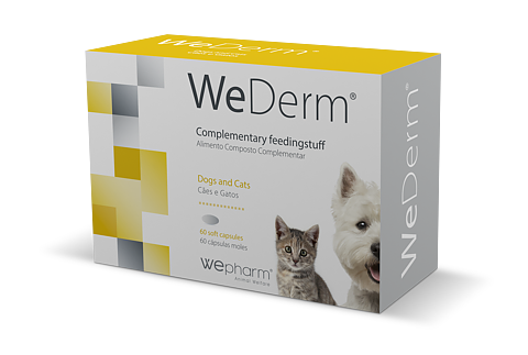 WeDerm 60 kapslar