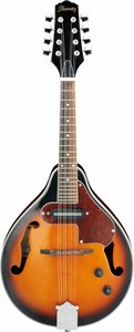 Ibanez Mandolin med mik.