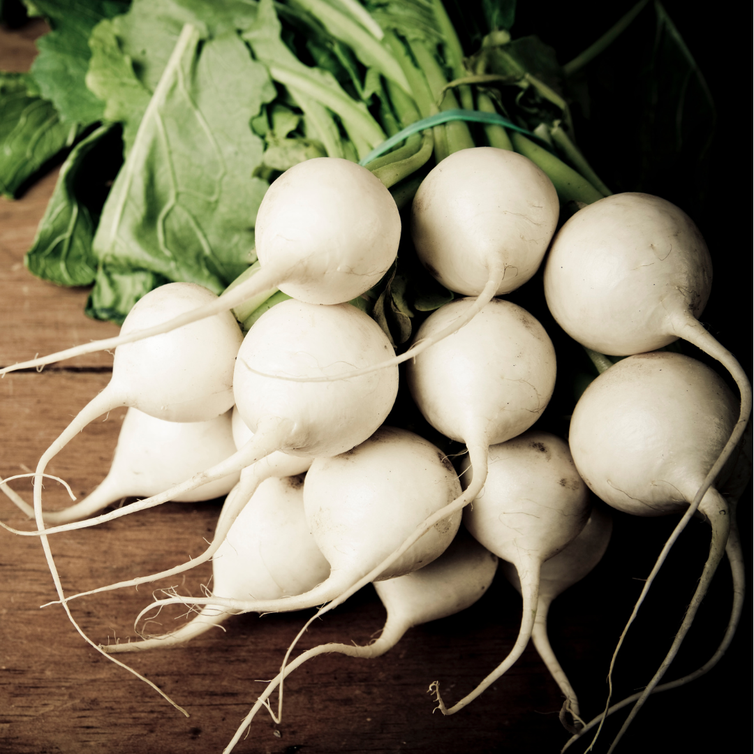 Vit Rädisa - Sniezka