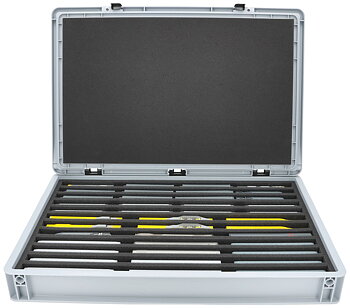 Euro Box / Container Case for model railway locomotives, wagons and vehicles - 12 slots for N Gauge - vertical