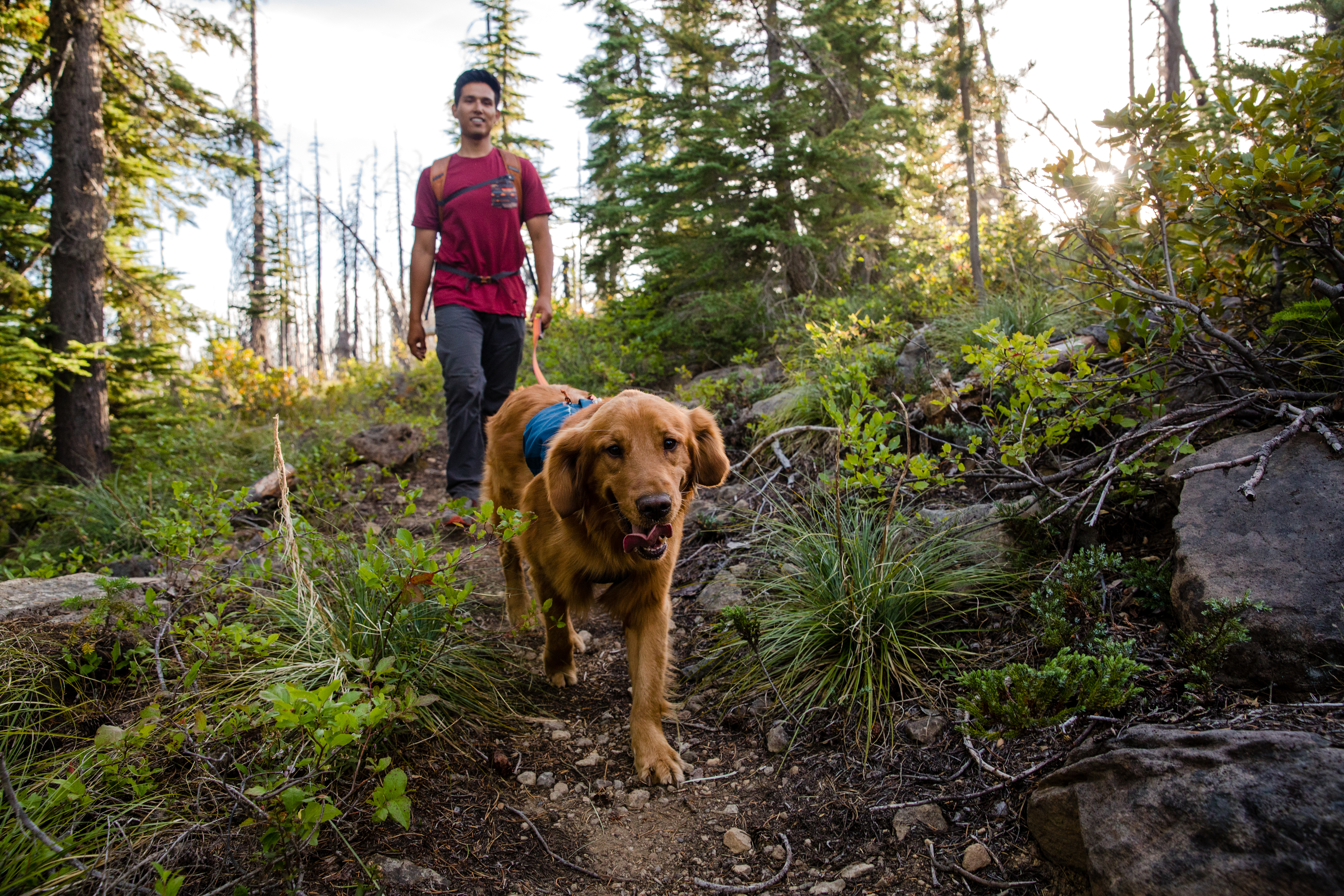 Ruffwear Switchbak Harness - Blue Moon - Functional 