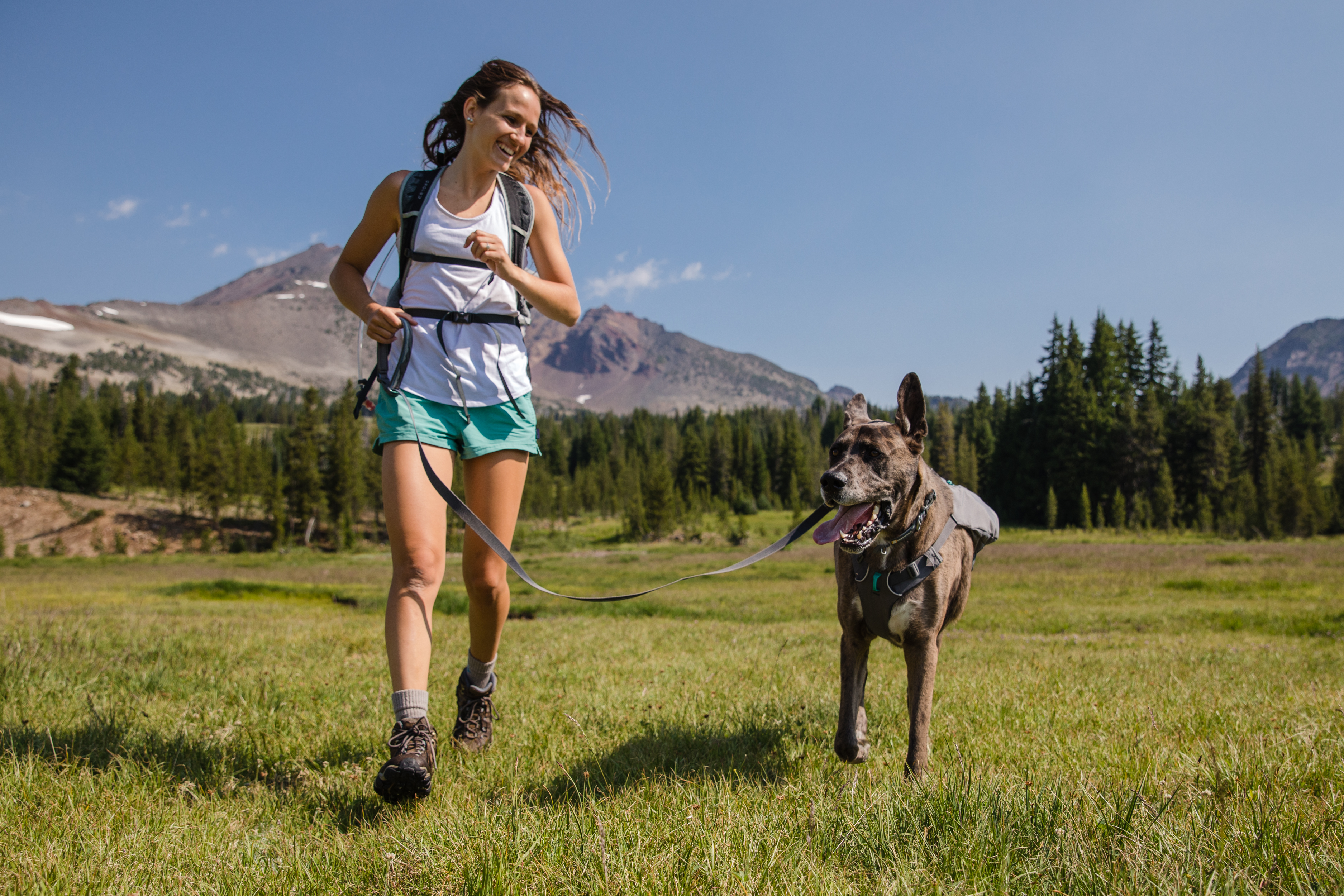 Ruffwear Switchbak Harness - Granite Gray - Functional 