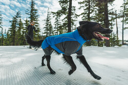 Ruffwear Vert Coverall - Blue Pool  - 7