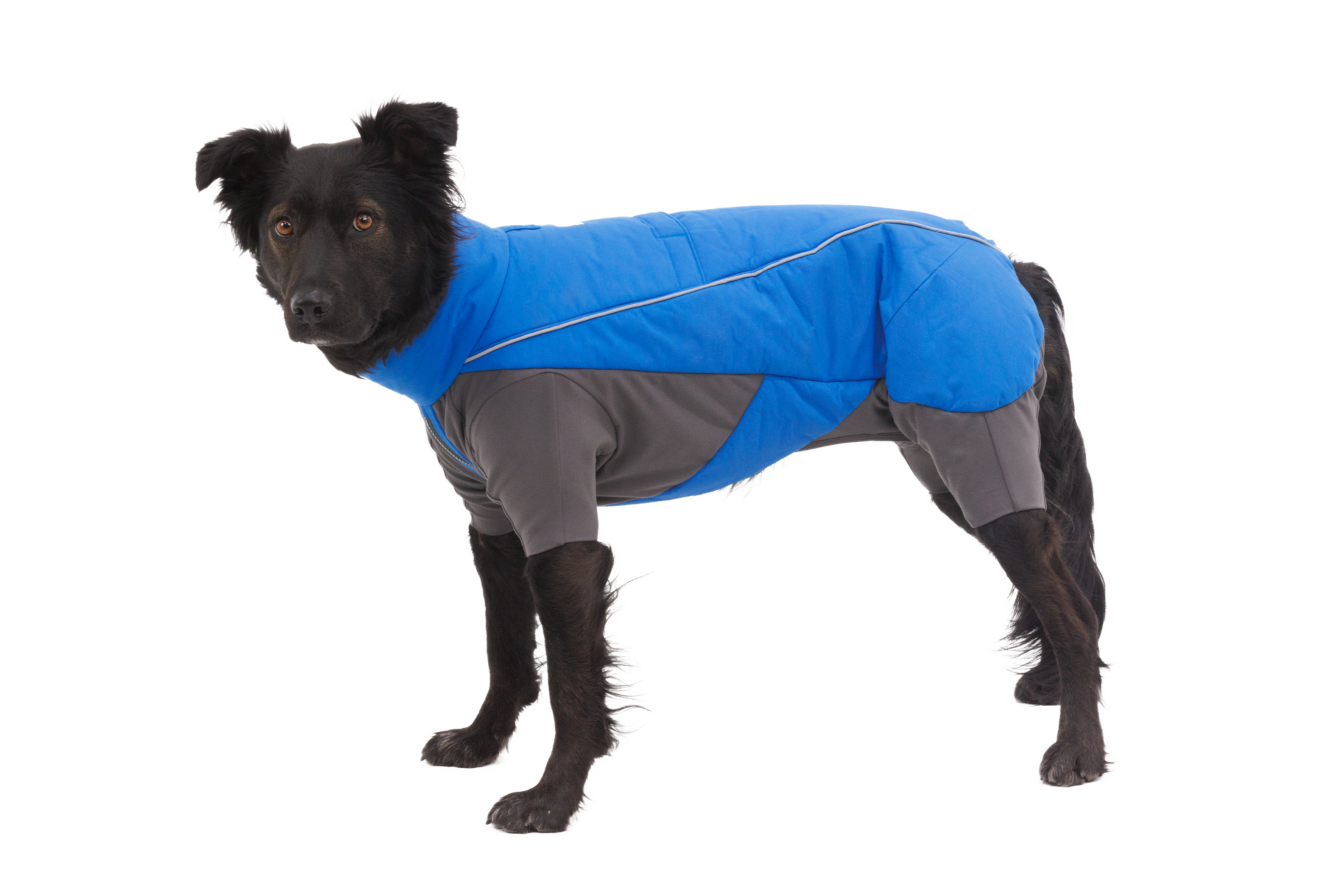 Ruffwear Vert Coverall - Blue Pool 