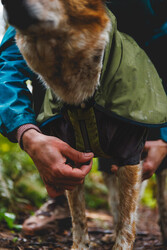 Ruffwear Sun Shower Coverall - Midnight Blue  - 6