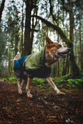 Ruffwear Sun Shower Coverall - Midnight Blue  - 7