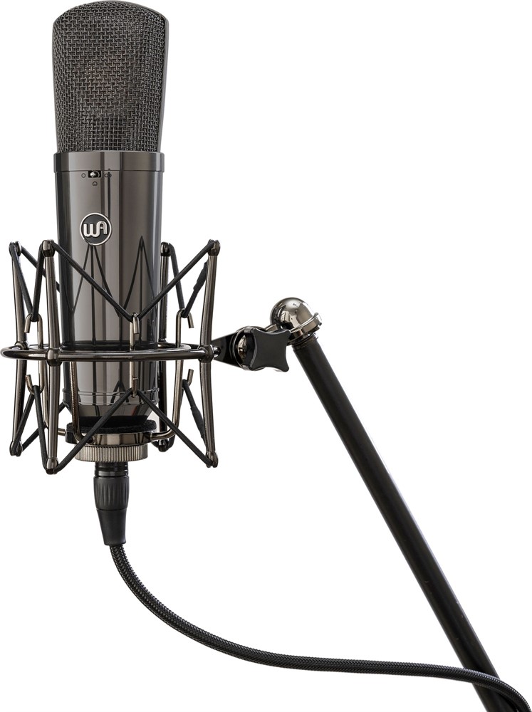 Warm Audio WA-87 R2 Titanium Stereo Pair - 2