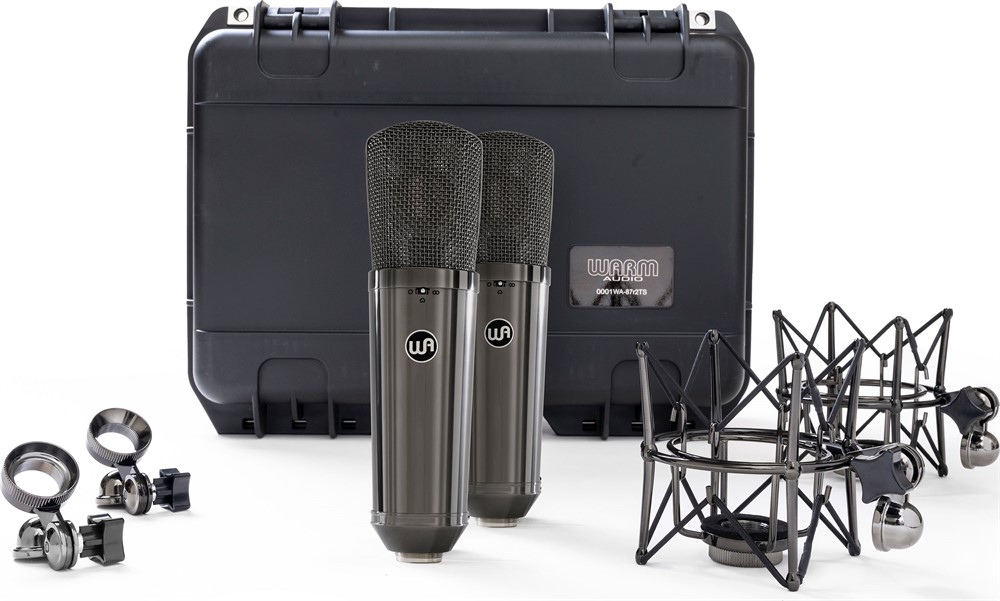 Warm Audio WA-87 R2 Titanium Stereo Pair - 3