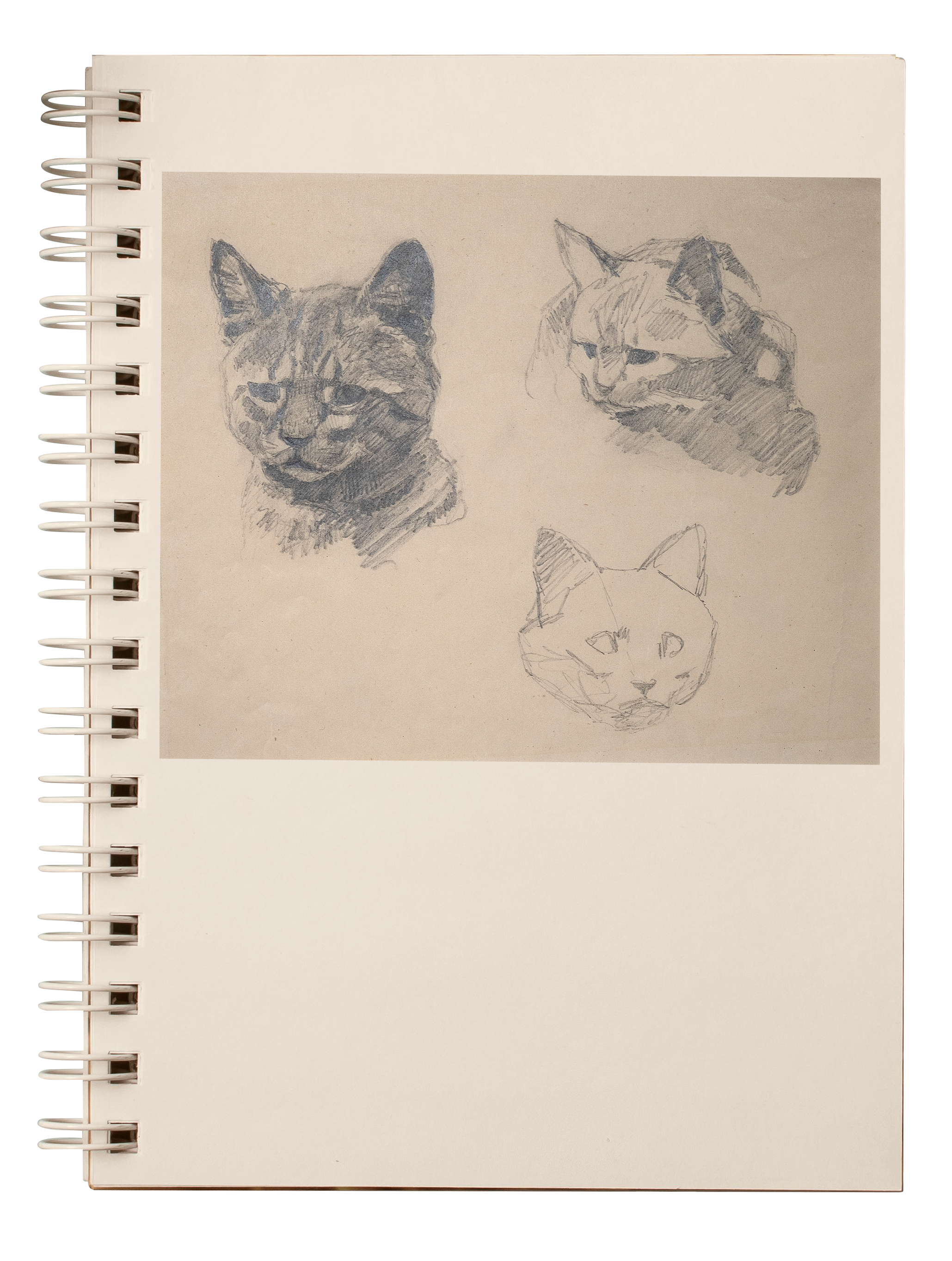 Notebook A5, Three cats
