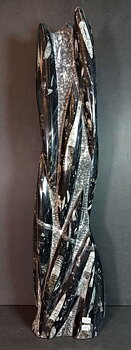 Devonian Orthoceras Fossil i Grundsten - Stående - 50cm