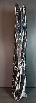 Devonian Orthoceras Fossil i Grundsten - Stående - 50cm