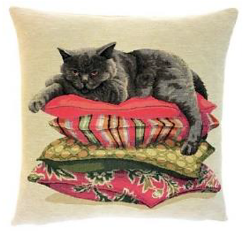 Lacy cat grey