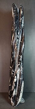 Devonian Orthoceras Fossil i Grundsten - Stående - 51cm