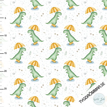 RAINY DINO