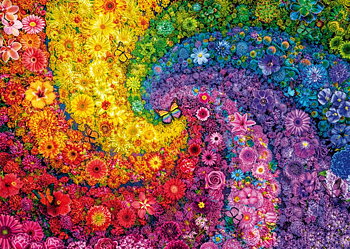 Swiding Colours in Bloom, 2000 Bitar, Schmidt
