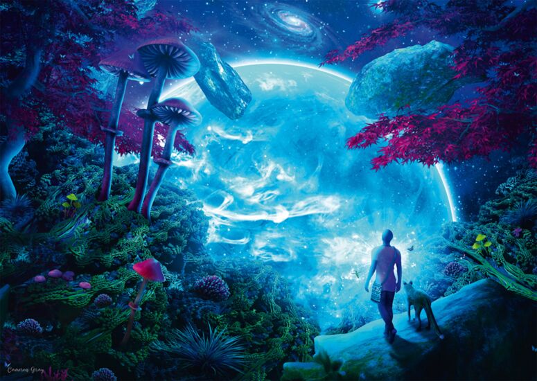 Celestial Sky, 1000 Bitar, Schmidt
