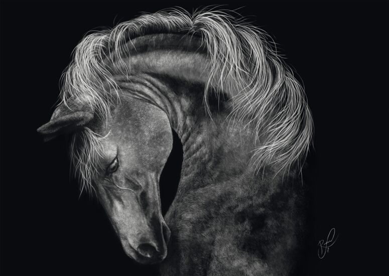 Power-Horse: the Epitome of Strength, 1000 Bitar, Schmidt