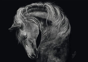 Power-Horse: the Epitome of Strength, 1000 Bitar, Schmidt