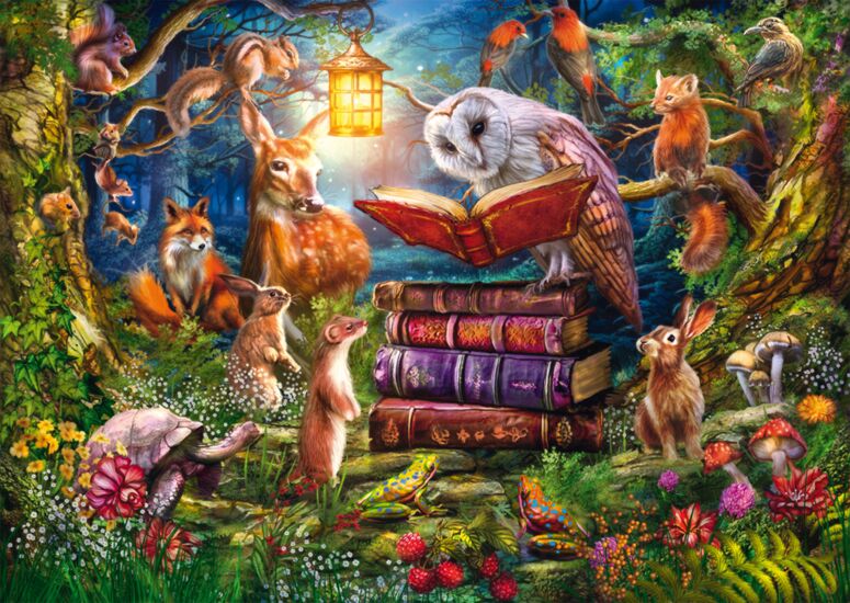 Bedtime Stories in the Woods, 1000 bitar Schmidt