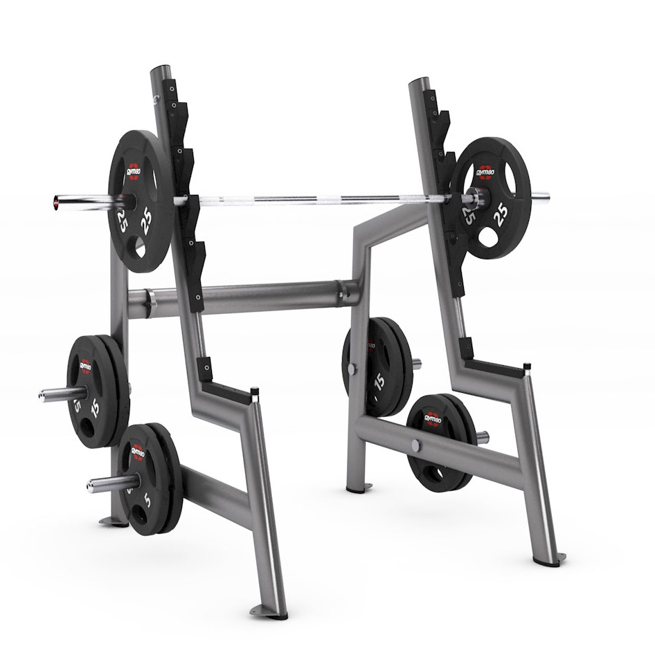 Gym80 Squat Rack 4094