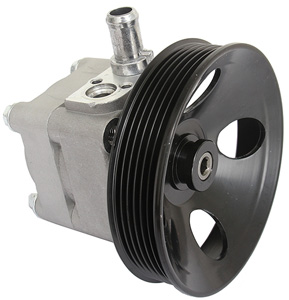 Power steering pump (24)