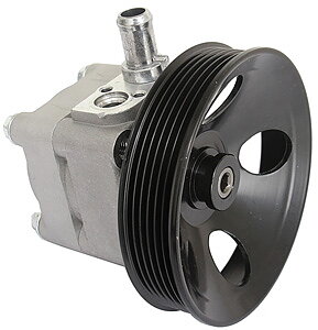 Power steering pump (24)