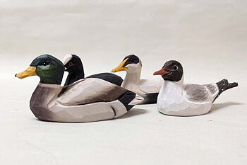 Can opener Seabirds