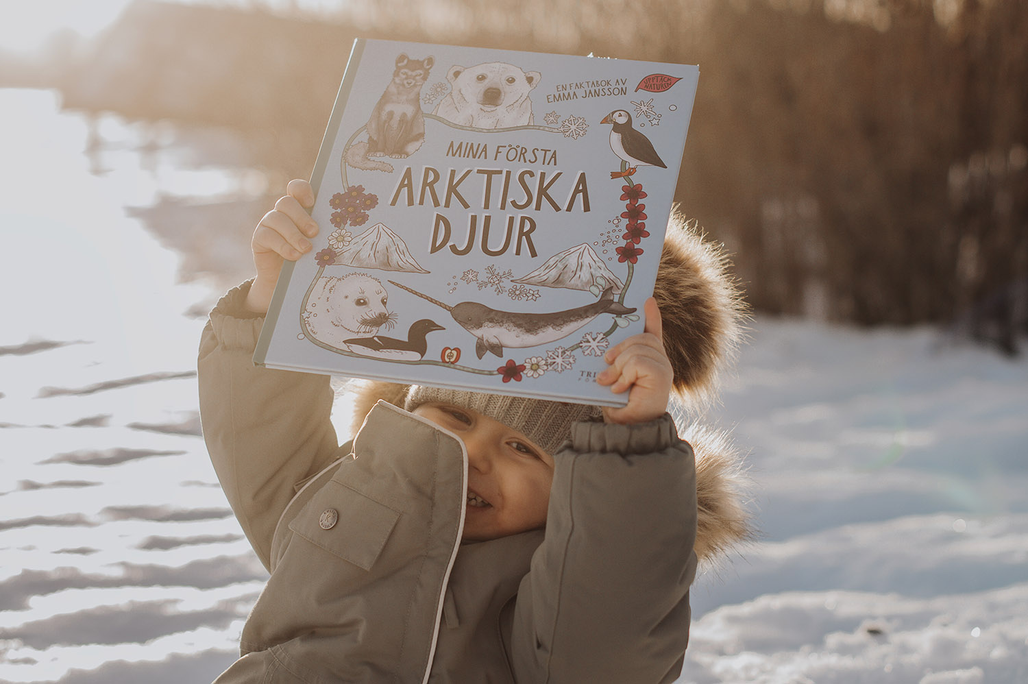 Mina första arktiska djur - 4
