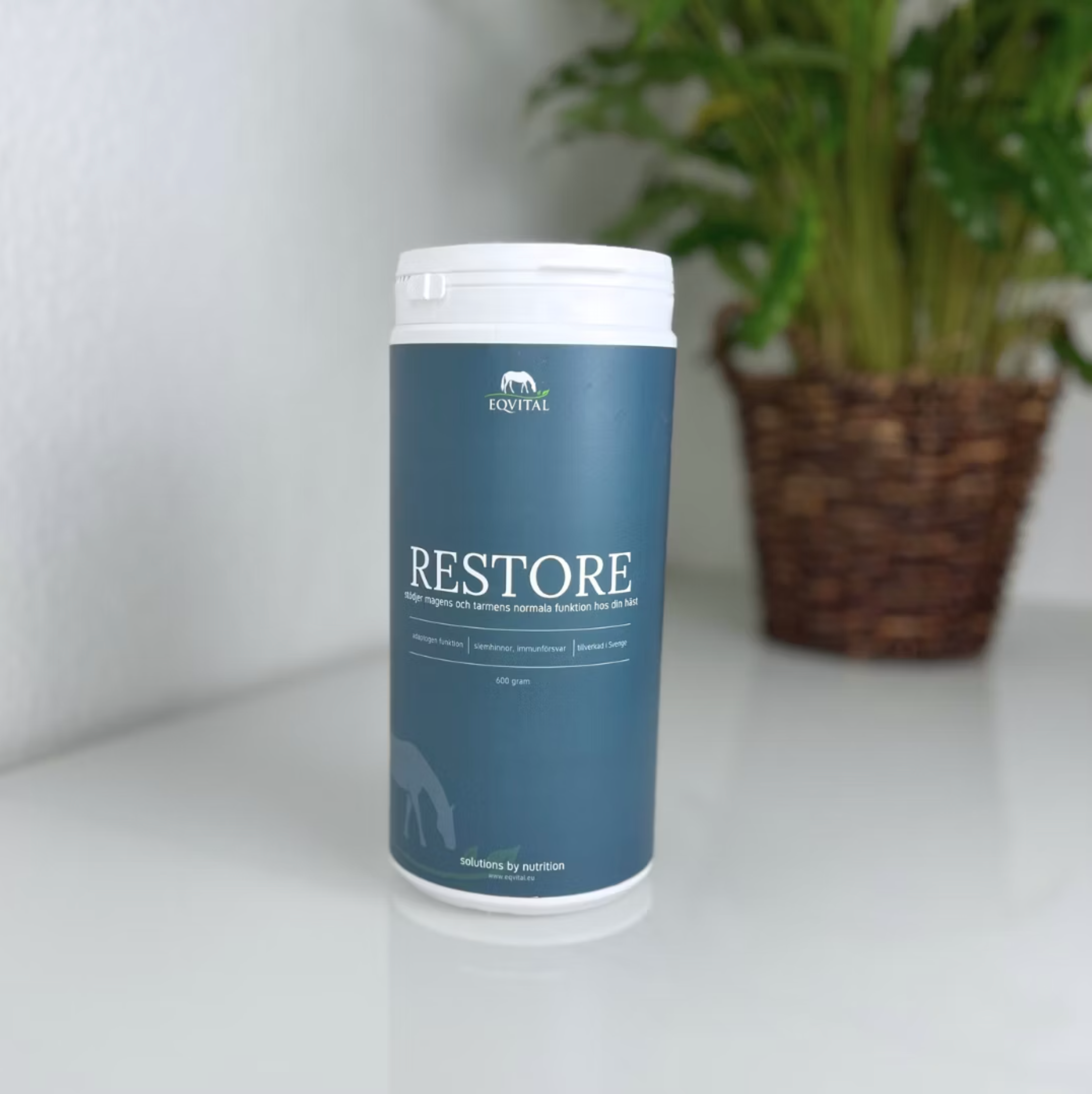 Eqvital - Restore 600g (LGS2)