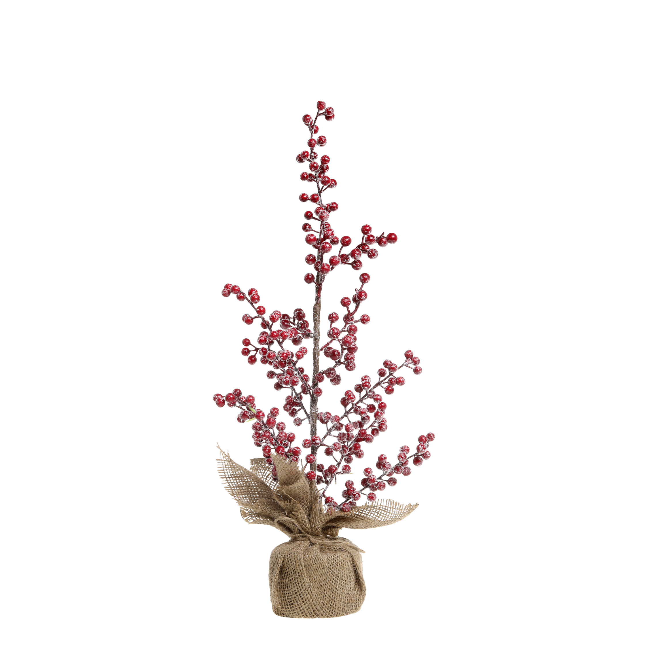 Bärträd - Träd med röda bär - Jutefot - 50 cm - 3