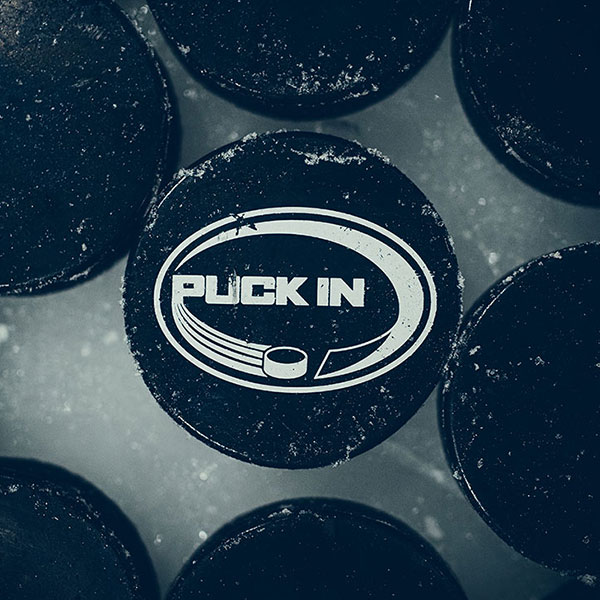 Hockeypuckar 10 st