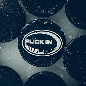 Hockeypuckar 10 st