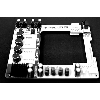 PINBLASTER -  Enhance your spike 1 & 2 Audio to the  NEXT LEVEL!