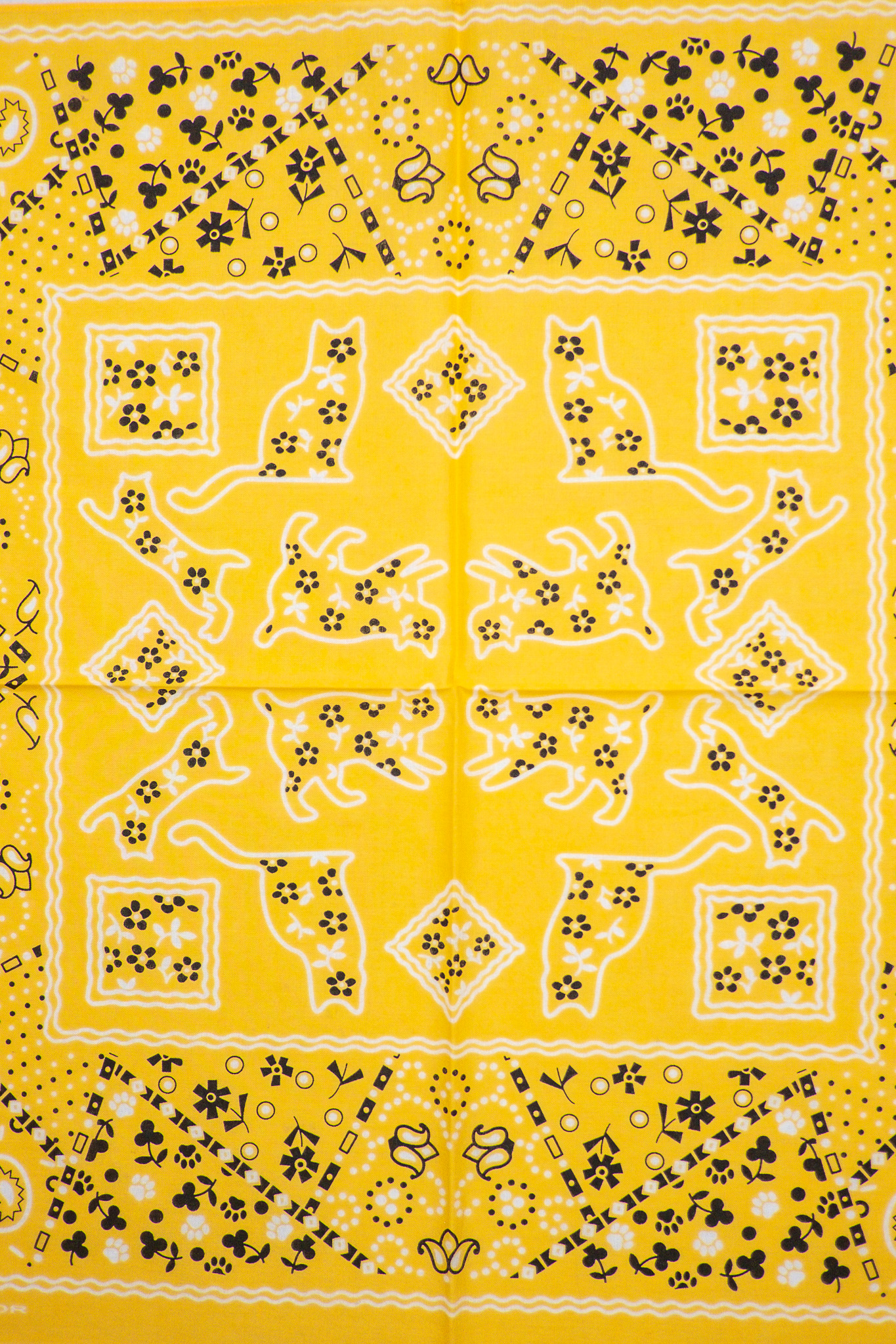 TCB Jeans - Two Cats Bandana Yellow - 5