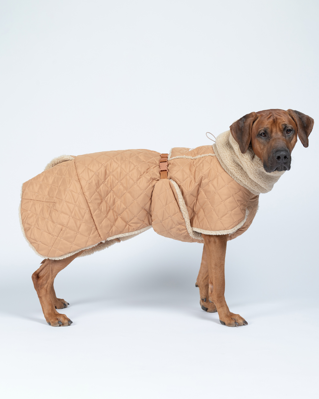 PAIKKA Quilted Sherpa Jacket- Camel - Versatile