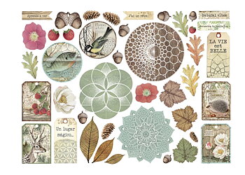 Stamperia Forest Die Cuts 
