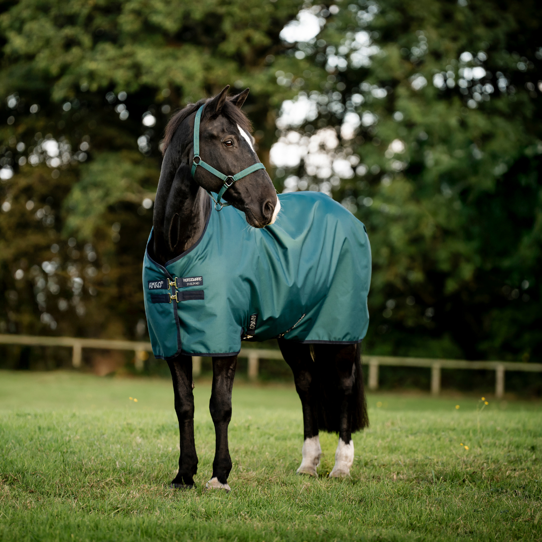 AMIGO RIPSTOP 9 50GR